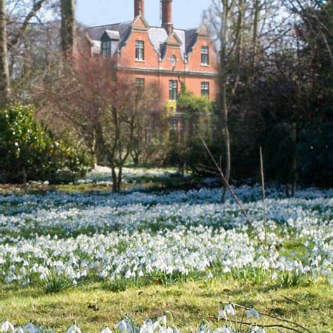 Park, Garden or Woodland in Newmarket, England Park, Garden or Woodland in Cambridgeshire, England