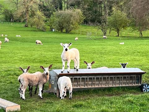 The Lake District, England - The ideal Holiday Destination